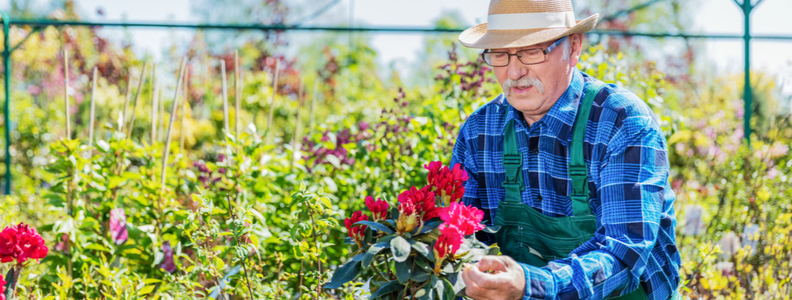 benefits of gardening for seniors